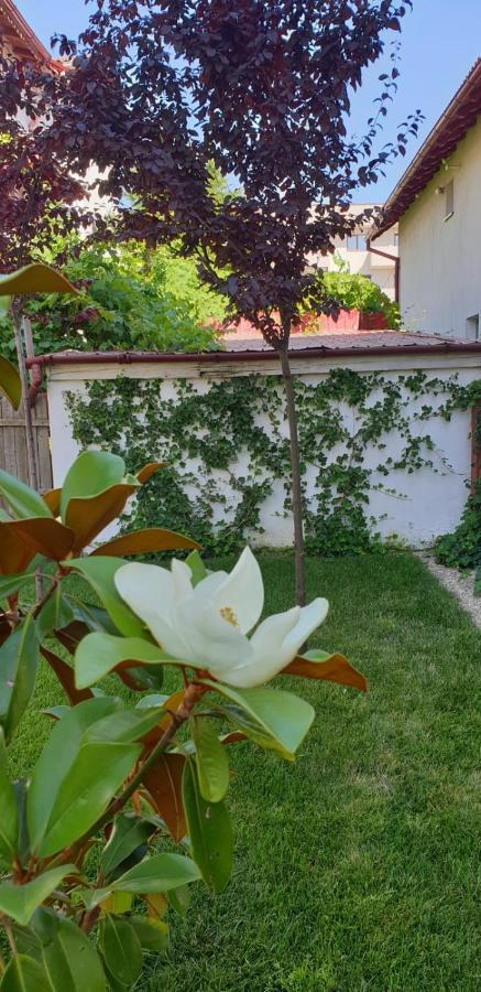 Casa Mir Hotel Navodari Bagian luar foto